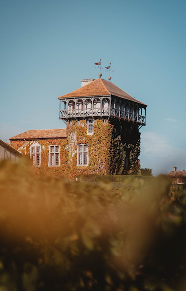 Château Smith Haut Lafitte