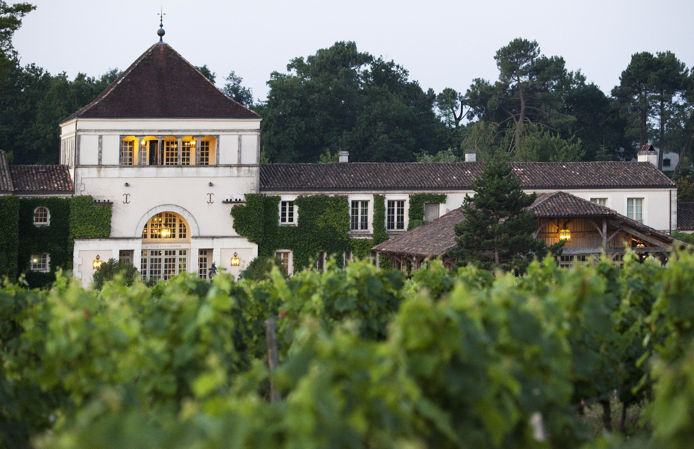 Bastide entourée de vignes