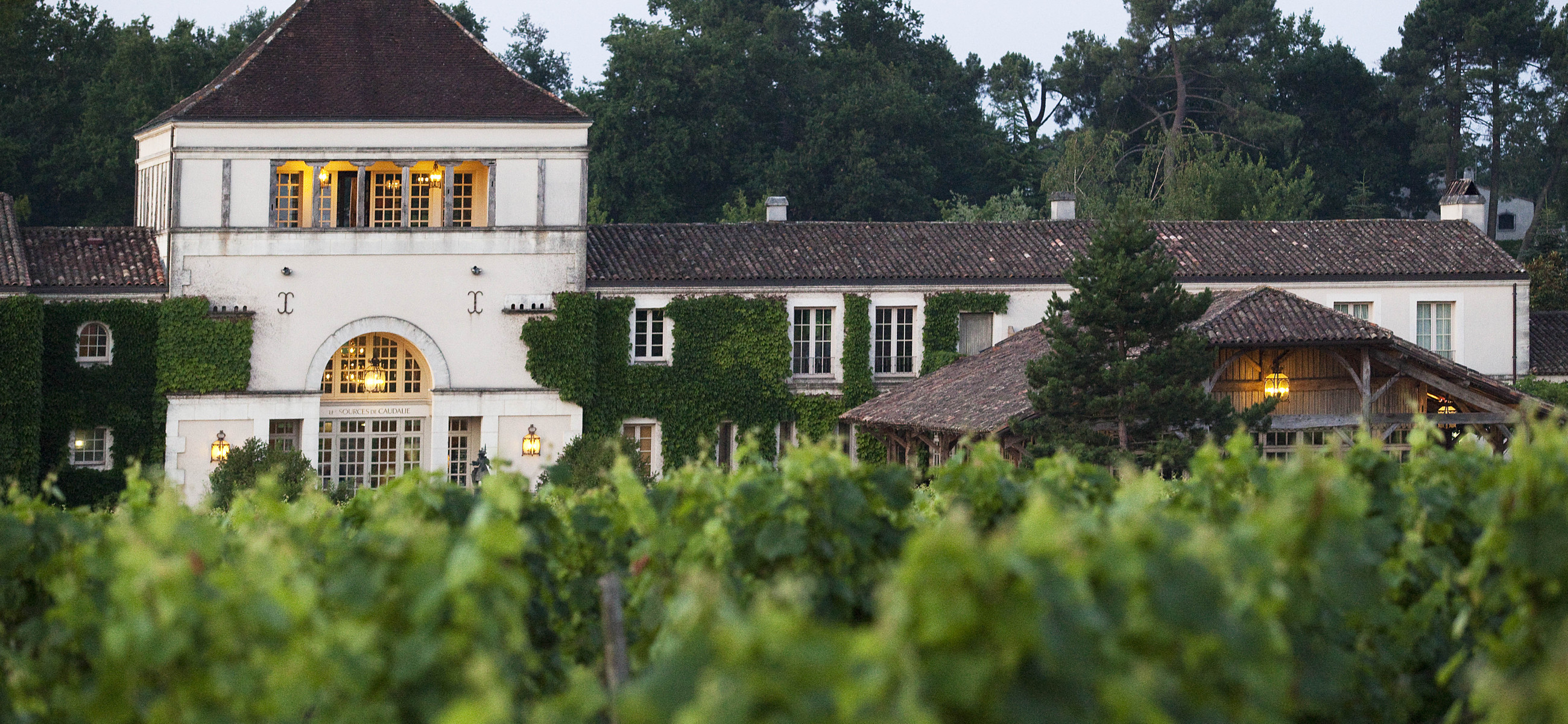 Bastide entourée de vignes