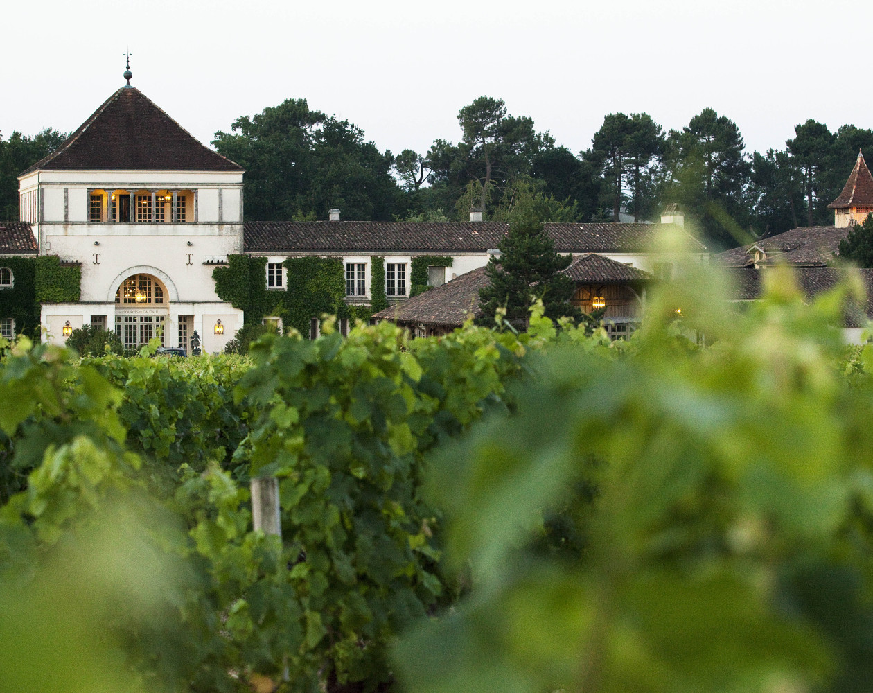 Bastide des Sources de Caudalie entourée de vignes